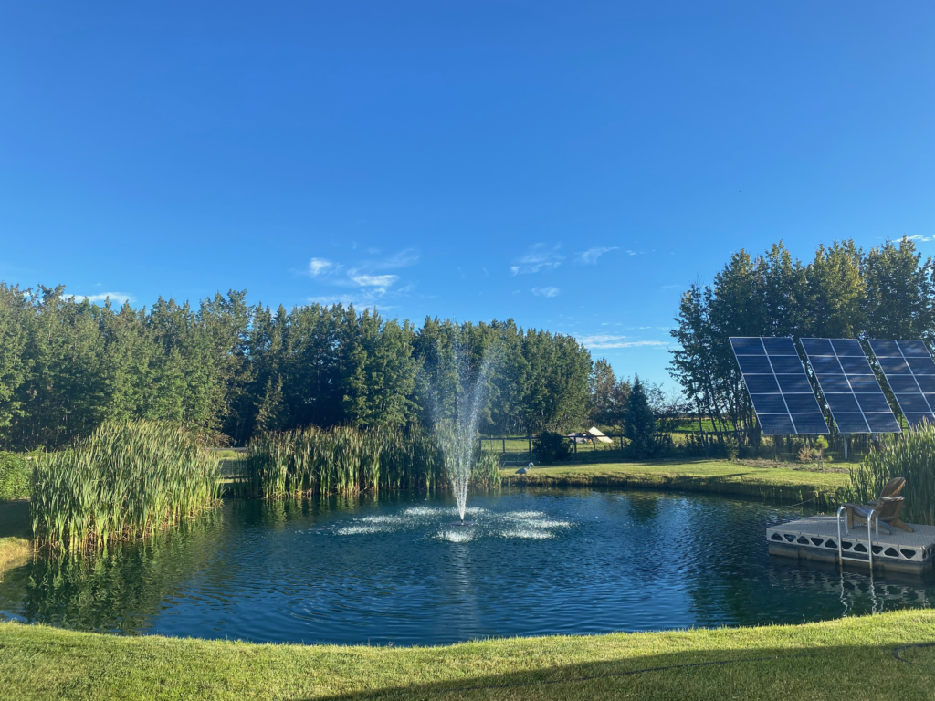 Fountain in a trout pond